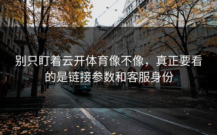 别只盯着云开体育像不像，真正要看的是链接参数和客服身份
